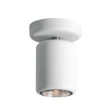 Потолочный светильник Fabbian D84E0501