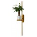 Бра Favourite Greenery 4050-2W