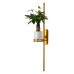 Бра Favourite Greenery 4050-2W