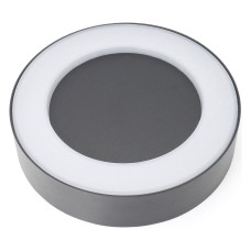 Накладной светильник Favourite Washer 2865-1W