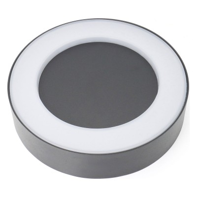 Накладной светильник Favourite Washer 2865-1W