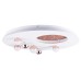 Потолочная люстра Favourite Plaides 4630-5C