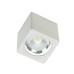 Накладной светильник Fiberli CH-SD220-1 12120101