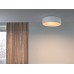 Настенный/Потолочный светильник Flos Smithfield Red
