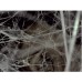 Подвесной светильник Flos Viscontea