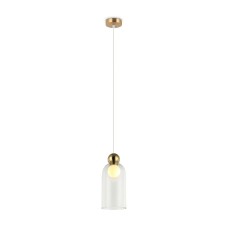 Подвесной светильник Freya Focus FR5220PL-01G