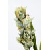 Garda Decor 29BJ-911-33