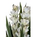 Garda Decor 29BJ-911-45