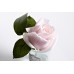 Garda Decor 96CN-R4600