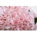 Garda Decor 96CN-RB0020
