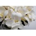 Garda Decor 96CN-RG0005