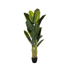 Банановый куст в горшке h180см Garda Decor 29BJ-803-30