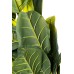 Банановый куст в горшке h180см Garda Decor 29BJ-803-30