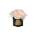 Диффузор Five Rose Blush, спрей Rose oud 10мл в уп. Garda Decor 96CN-RB621