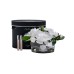 Диффузор Oval White, спрей Charente Rose мл  в уп. Garda Decor 96CN-LV100