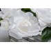 Диффузор Oval White, спрей Charente Rose мл  в уп. Garda Decor 96CN-LV100