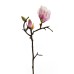 Искусственные цветы Garda Decor FA17722