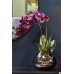 Орхидея бордовая в горшке, 58 см Garda Decor 29BJ-170-12