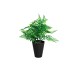 Папоротник в горшочке 25 см (24) Garda Decor 8J-18CK0018