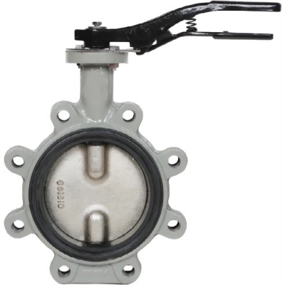 Затвор дисковый Giacomini поворотный с проушинами DN350, R59FLX035