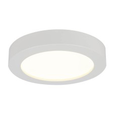 Потолочный светодиодный светильник Globo Paula 41605-20D