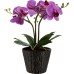 Настольная лампа Globo Flowerpower 28003