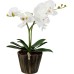 Настольная лампа Globo Flowerpower 28002