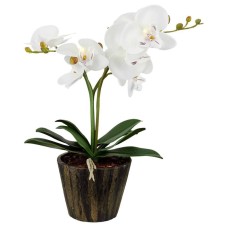 Настольная лампа Globo Flowerpower 28002