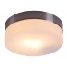 Потолочный светильник Globo Opal 48401