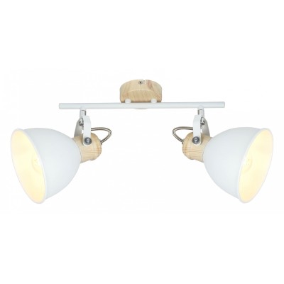 Спот Globo Wiho 54018-2