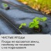 Агроткань застилочная, с разметкой, 10 × 3,2 м, плотность 100 г/м², полипропилен, Greengo, Эконом 50%