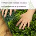 Декоративная панель, 40 × 60 см, «Разнотравье», Greengo