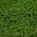 Декоративная панель, 90 × 40 см, «Мох», Greengo