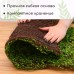 Декоративная панель, 90 × 40 см, «Ряска», Greengo