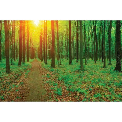 Фотосетка, 300×200 см, с фотопечатью, люверсы шаг 1 м, «Лесная тропа», Greengo