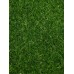 Газон искусственный, ворс 20 мм, 2 × 5 м, тёмно-зелёный, Greengo