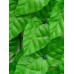 Изгородь декоративная, 300 × 100 см, «Листья осины», Greengo