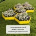 Клумба оцинкованная, d = 80 см, высота бортика 15 см, жёлтая, Greengo