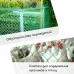 Сетка садовая, 1 × 10 м, ячейка квадрат 83 × 83 мм, пластиковая, зелёная, Greengo, в рулоне