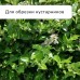 Сучкорез профессиональный, 27.5−40.5