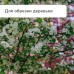 Сучкорез, профессиональный, 31