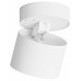 Накладной светильник Hesby Lighting Mysen HSBL_0179