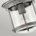 Потолочный светильник Hinkley Hadrian QN-HADRIAN-MINI-F-AN-CLEAR