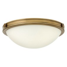 Накладной светильник Hinkley Collier HK-COLLIER-F-S