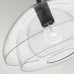 Подвесные светильники Hinkley QN-LOTUS-P-BLK