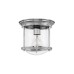 Потолочные светильники Hinkley QN-HADRIAN-MINI-F-CM-CLEAR