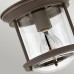 Потолочные светильники Hinkley QN-HADRIAN-MINI-F-OZ-CLEAR