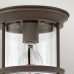Потолочные светильники Hinkley QN-HADRIAN-MINI-F-OZ-CLEAR