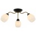 Потолочная люстра Illumico IL8193-3COU-79 BK GD