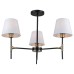Люстра на штанге Illumico IL0185-3CSQ-24 BK AB CASTOR
